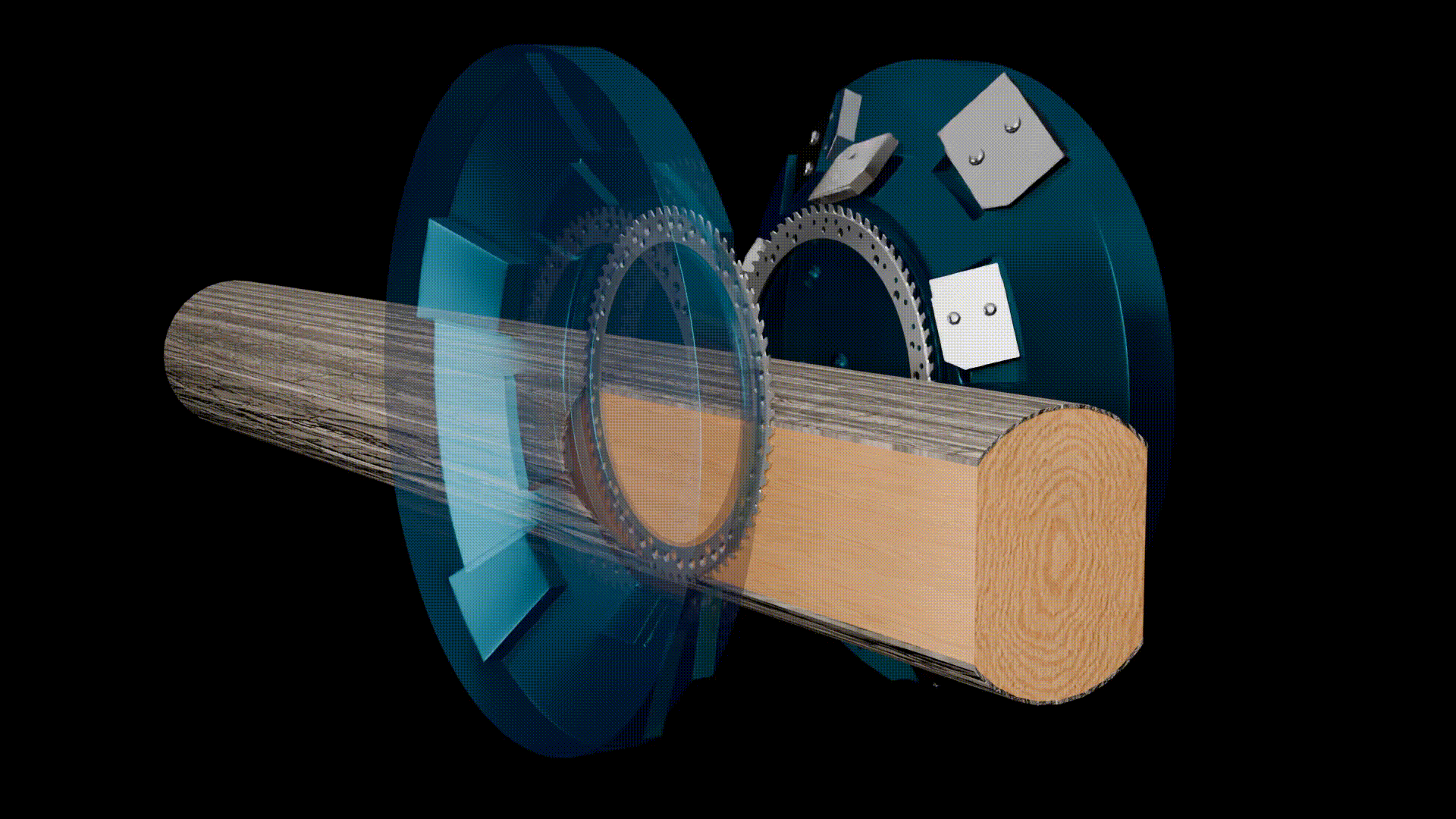 Chipper Canter (Ring) GIF